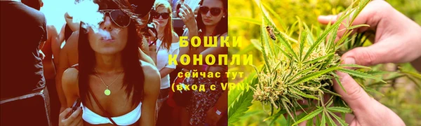 PSILOCYBIN Гусиноозёрск