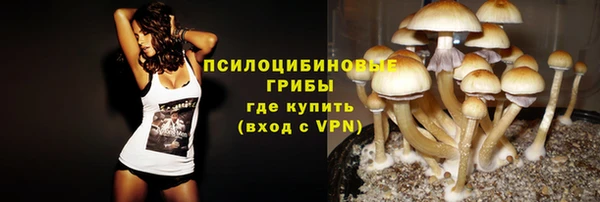 не бодяженный Дмитровск