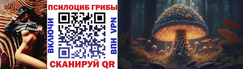 даркнет сайт  Чухлома  Псилоцибиновые грибы Cubensis 